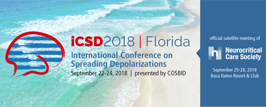 Call For Abstracts – iCSD2018 Meeting