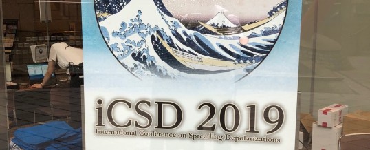 Photo gallery from iCSD | 2019 in Yokohama, Japan